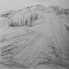 images/phocagallery/bildendekunst/bkunst_1580.jpg