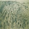 images/phocagallery/bildendekunst/bkunst_1640.jpg