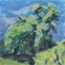 images/phocagallery/produzentengalerie/GerritHoefig-Kastanie.jpg