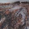 images/phocagallery/produzentengalerie/SylviaFenk-Herbstfeld-Tuschen.jpg